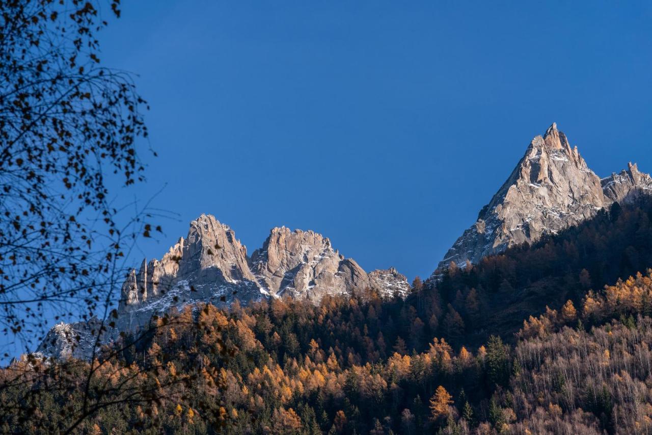 דירות Chamois Blanc Terrasse - A Chamonix Haven Near Aiguille Du Midi מראה חיצוני תמונה